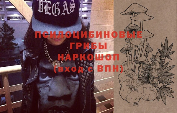 spice Мегион