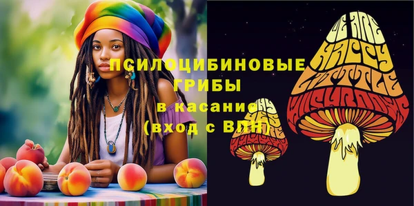 мескалин Медвежьегорск